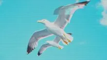 Flappy Bird Creator Dong Nguyen Comes Out of Social Media Retirement to Take a Swing at GameFi