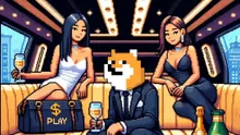 Countdown Begins for PlayDoge Presale – 3 Days Left to Buy Viral P2E Sensation Before Listings
