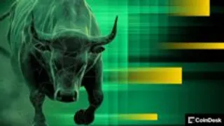 Speculative Retail Trading is Good for Financial Markets, Actually