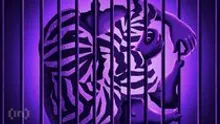 Dark Web Founder Loses $100 Million in Bitcoin After 40-Year Sentence: Where Does It Go?