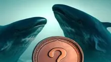 A Whale Waited Patiently, Found the Peak! Turned $575 into $1.7 Million! Here’s the Altcoin It Bought!