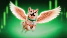 The Shiba Inu Tokens Vitalik Never Asked For Are Funding a COVID Vaccine Trial