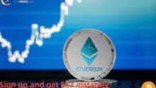 ProfitableMining Changes Dogcoin from a Joke Coin into a Solid Income Source