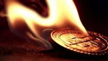 This Altcoin’s New Report Shows Millions of Dollars in Profits: Details on Buybacks and Burn Also Included