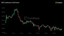 Live updates: Bitcoin holds below $80,000 as AI buildout draws investor attention and capital
