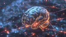 Fetch.ai, SingularityNET, and Ocean Protocol’s planned $7.5 billion ASI token to launch in May