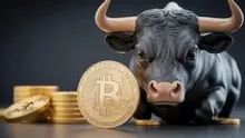 When Will the Next Major Bitcoin Bull Run Begin? “Just When Everyone Says BTC Is Dead…”