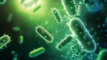 Binance Labs invests in BIO Protocol to advance DeSci, disrupt traditional funding