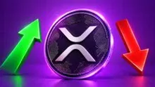 XRP Spot ETFs Outpace Solana as Institutional Demand Grows