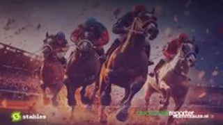 Stables Integrates with Equibase to Bring U.S. Racehorses to Web3