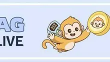 MoonBag, DOGE, BDJ: Which is the Top Crypto Presale in 2024?
