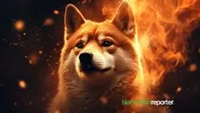 Shiba Inu Burn Tracker: How Much SHIB Has Been Burned and Where to Check