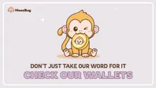 MoonBag Scalability Wins Hearts, While Book of Meme and Pepe Coin Investors Experience a Change of Heart