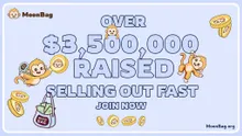 MoonBag Crypto Raises over $3.6 Million Presale Victory Highlights Weaknesses in Sei and Chainlink