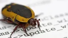 XRP Ledger bug fix moved to November after validator support dipped for two hours