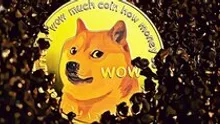 Doge Day Celebration Sparks Optimism For DOGE’s Future Rally