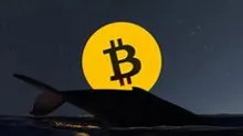 Crypto Analyst Ali Martinez Explains Whales Could Be Influential in Bitcoin, XRP, and ADA Rises!