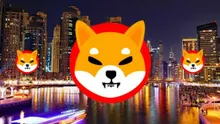 Shiba Inu Burns Climb Sharply, Sends Community Into Frenzy