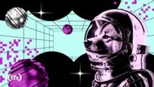 3 Meme Coins To Watch In December 2025