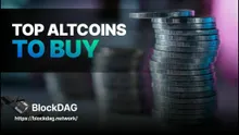 Best Altcoins to Watch in a Market Crash: Top Picks for 2024