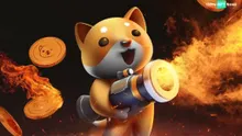 Baby Doge NFT Marketplace Set to Enhance Web3 Experience with Tomorrow’s Launch