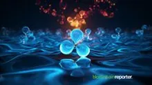 XRP Price Explodes as New Year Triggers Sidelined Traders, New Viral Altcoin Could Pump 12,000% After Trump Presidency 