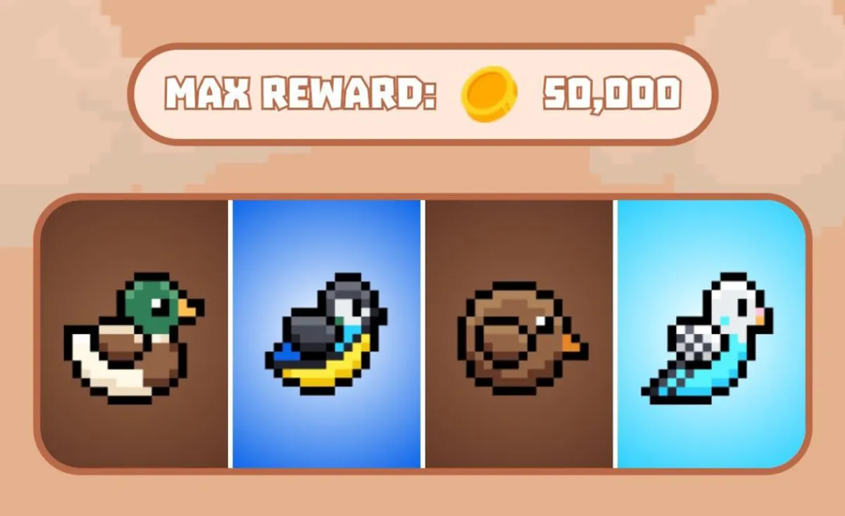 Bird daily combo