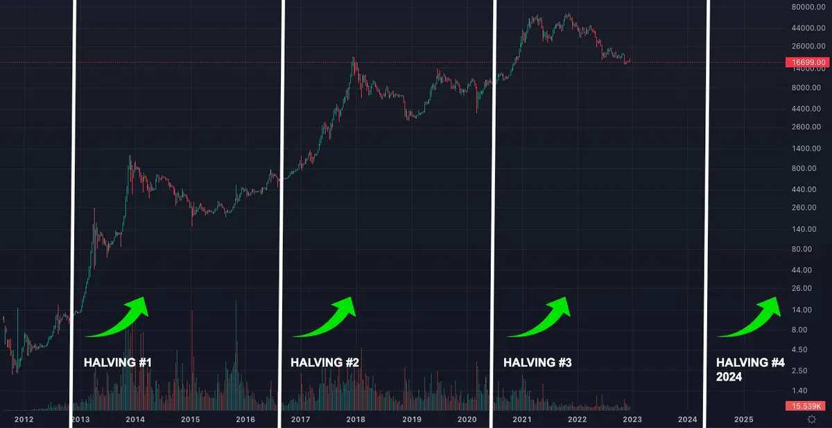 Bitcoin halving price chart