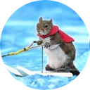 Twiggy the water skiing squirrel