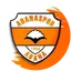 Adanaspor Fan Token