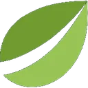 Bitfinex
