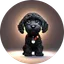 BabyMyro