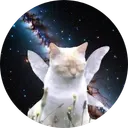 Manifest