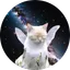 Manifest