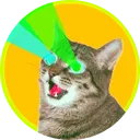 Bitcoin Cat