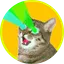 Bitcoin Cat
