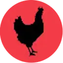 chikn feed