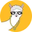 Voovo App