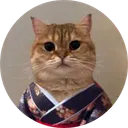 catownkimono