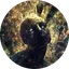 Schizo Terminal