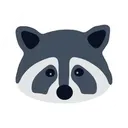 Procyon Coon Coin