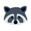 Procyon Coon Coin
