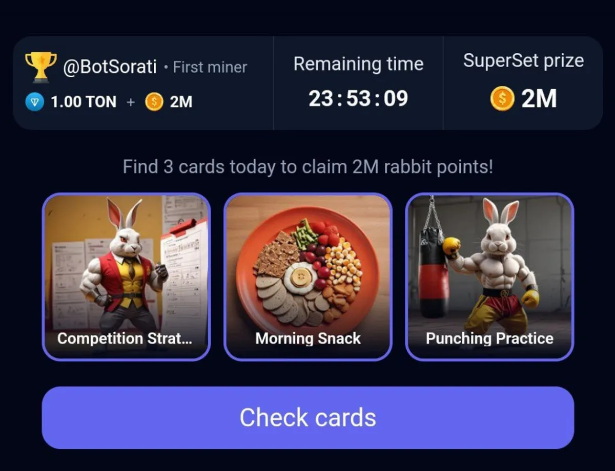 rocky rabbit superset