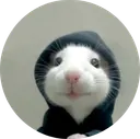 hood rat