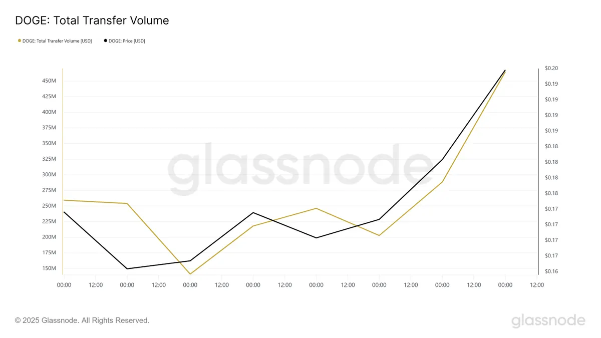 Doge total transfer volume