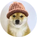 babydogwifhat