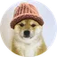 babydogwifhat