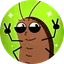 KoKoK The Roach