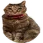 Tsutsuji Doge's Sister