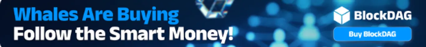 Whales are buiying, Follow the Smart Money